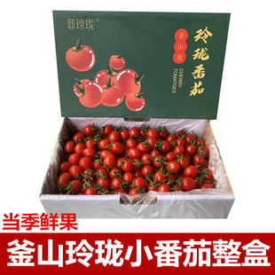 正宗釜山88圣女果新鲜现摘玲珑千禧果小番茄小西红柿水果礼盒顺丰
