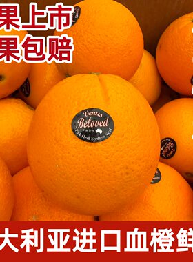 澳大利亚血橙红肉橙子