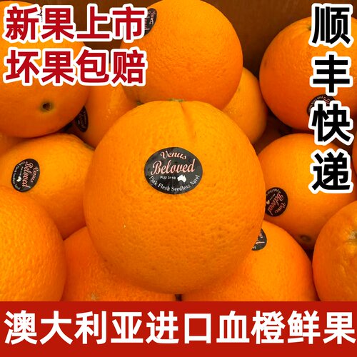 澳大利亚血橙红肉橙子