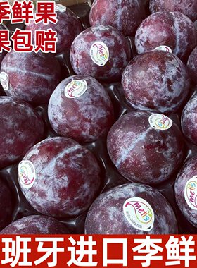 西班牙进口恐龙蛋李子时令新鲜水果红肉李子原箱顺丰快递