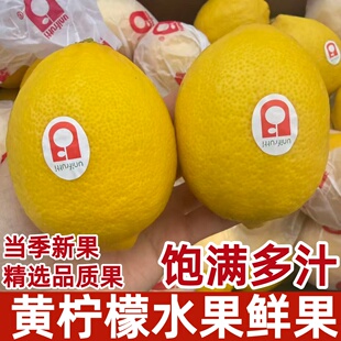 2026新果上市当令新鲜黄柠檬多汁时令茶饮泡水精选品质果包邮
