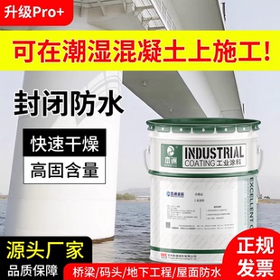 湿固化环氧封闭底漆金属漆潮湿混凝土脱硫塔工业防腐透明封闭底漆