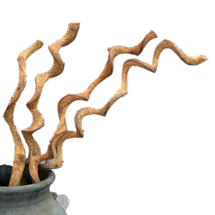 侘寂风过江龙藤条干树枝客厅禅意插花弯曲装饰天然实木干花枯枝