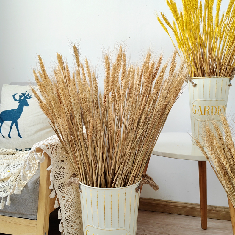 天然麦穗大麦干花带花瓶家居客厅摆件真花风干花束开业大卖插花