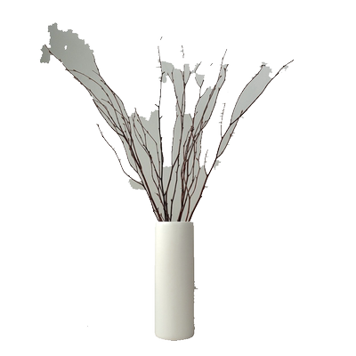 月洁天然树枝摆件文艺复古