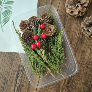 永生花diy材料松果红果松柏侧柏圣诞装饰材料松针松枝干花真植物