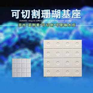 珊瑚断肢陶瓷繁殖基座纽扣底座水族造景10CM方型托盘格子切片基座