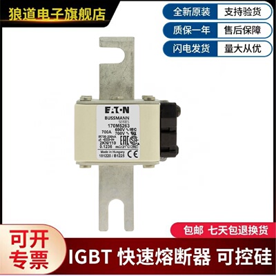 议价美国伊顿巴斯曼熔断器  170M5117  170M5118  170M5258  170M