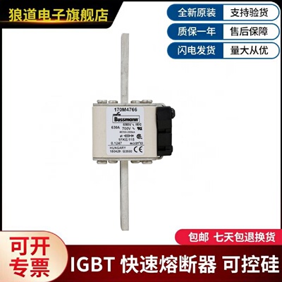 议价美国伊顿巴斯曼熔断器  170M4663  170M4710  170M4711  170M