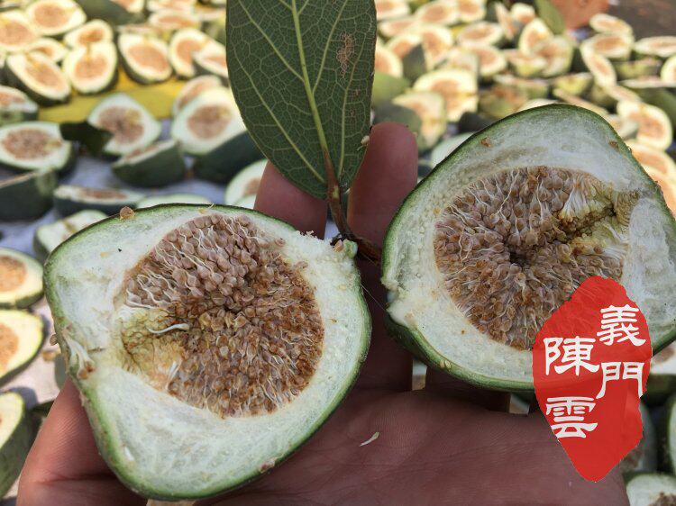 中药材天然庐山薜荔果干货