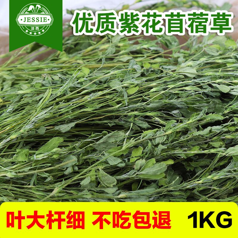 紫花苜蓿草干草兔粮饲料