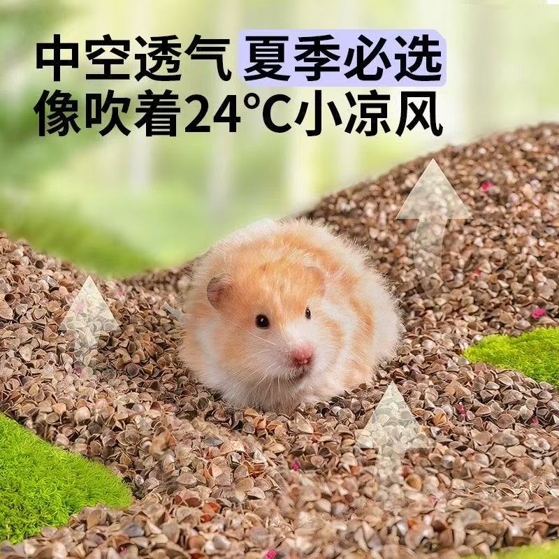 洁西生物酶荞麦砂仓鼠夏天降温