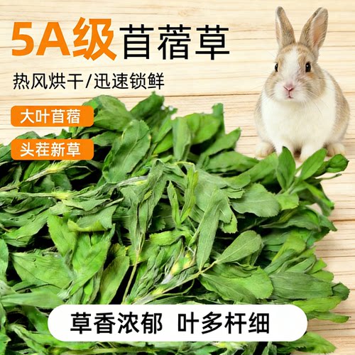 洁西烘干苜蓿草提摩西草干草饲料
