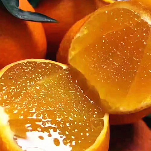 四川眉山38果冻橙手果园现摘毛重