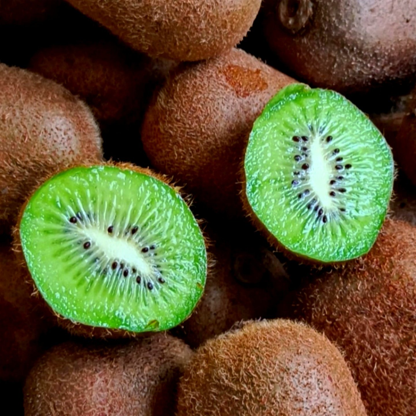 绿心猕猴桃甜蜜多汁云南新鲜当季水果山地果园8个15个25个34个装,水产肉类/新鲜蔬果/熟食,奇异果/猕猴桃,淘宝优惠券,粉丝福利购,淘宝优惠卷