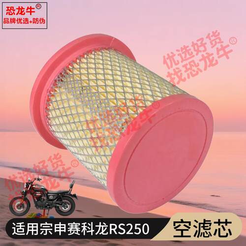 恐龙牛原厂正品滤清器滤芯适用宗申赛科龙SR250摩托车空气格RA250
