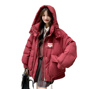 2025冬季新现货90绒学院风个性连帽设计感羽绒服166-6650P290K418图片