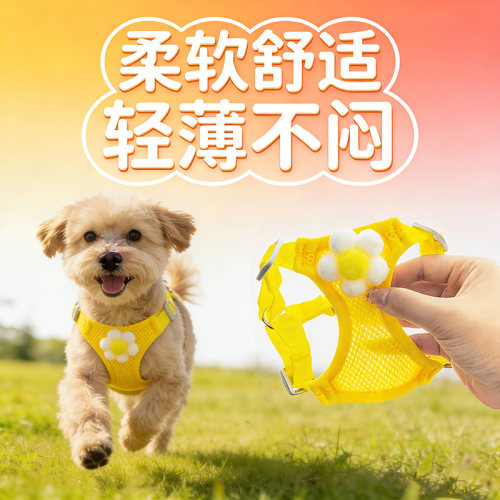 小狗狗牵引绳小型犬泰迪比熊博美幼犬胸背带猫咪宠物狗链遛狗绳子