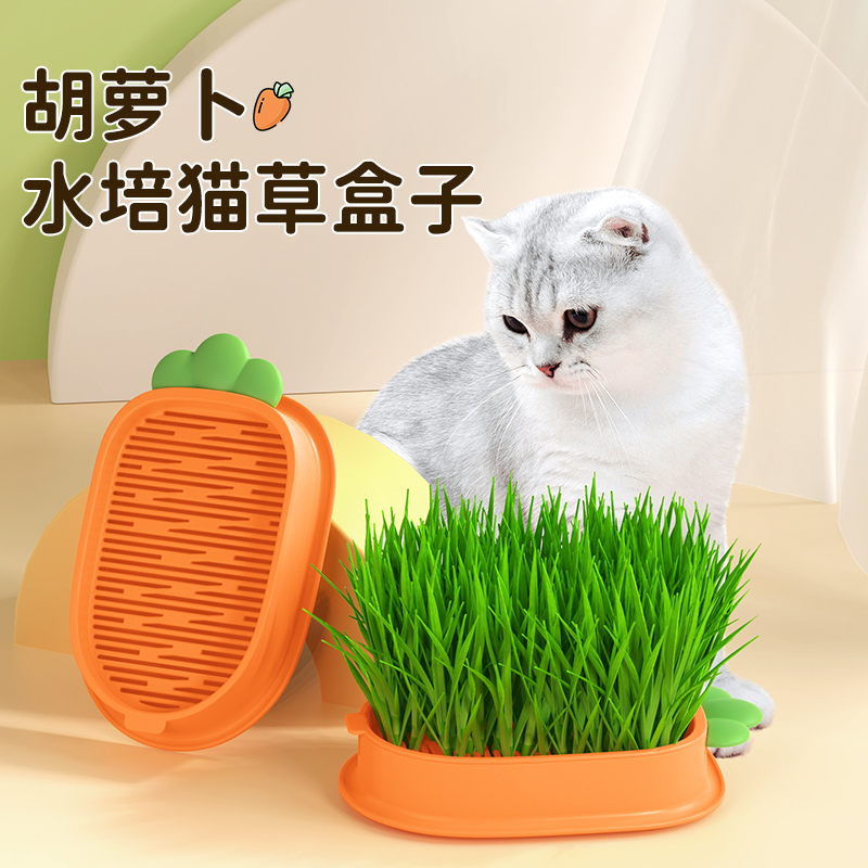 猫草盆栽小麦种子育苗盘水培化毛草猫薄荷种好幼猫咪零食食用麦苗