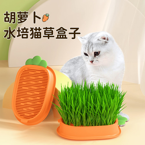 猫草盆栽小麦种子育苗盘水培化毛草猫薄荷种好幼猫咪零食食用麦苗