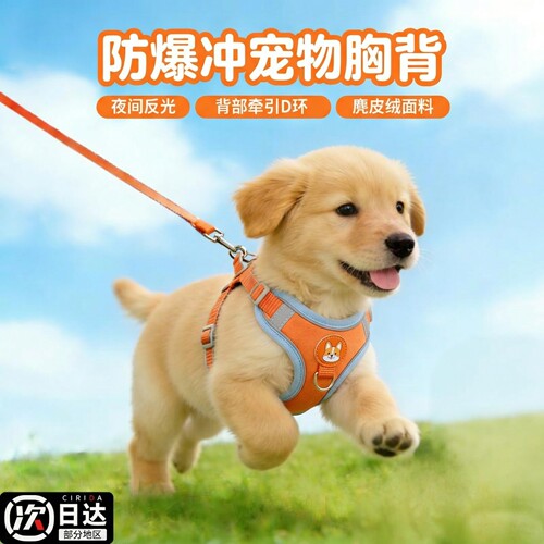 狗狗牵引绳背心式宠物胸背带遛狗绳中小型柴犬柯基比熊泰迪狗链子