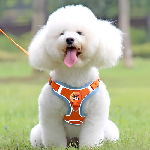 背心式狗狗牵引绳胸背带小型犬泰迪比熊博美幼犬宠物狗链子遛狗绳