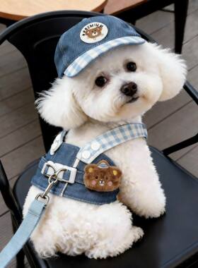 狗狗牵引绳胸背带牛仔衣服泰迪比熊小型犬夏天外出专用遛狗防挣脱