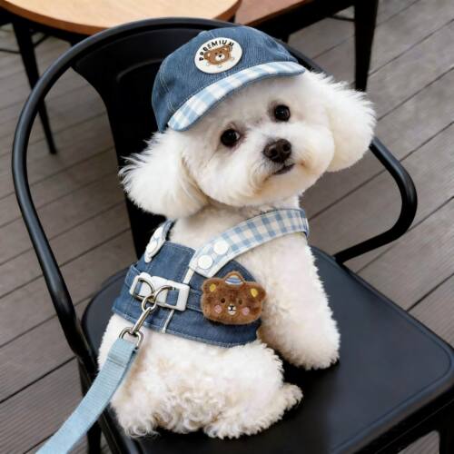 狗狗牵引绳胸背带牛仔衣服泰迪比熊小型犬夏天外出专用遛狗防挣脱
