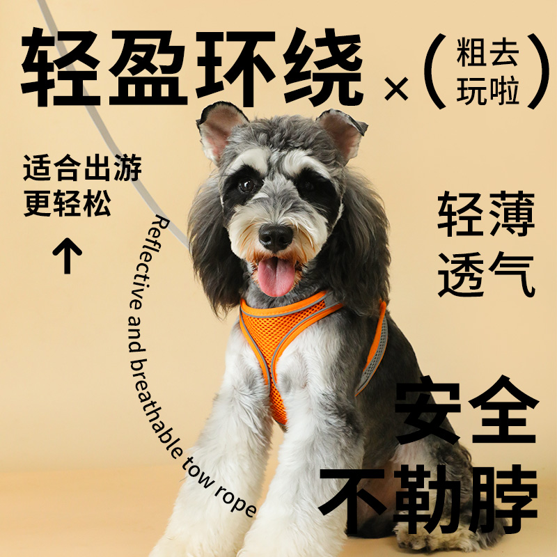 雪纳瑞狗狗的牵引绳中小型犬背心式高颜值夏季宠物小体狗外出绳子