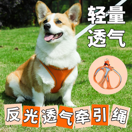 狗狗牵引绳背心式小型犬遛狗绳泰迪比熊柯基胸背带幼犬宠物狗链子