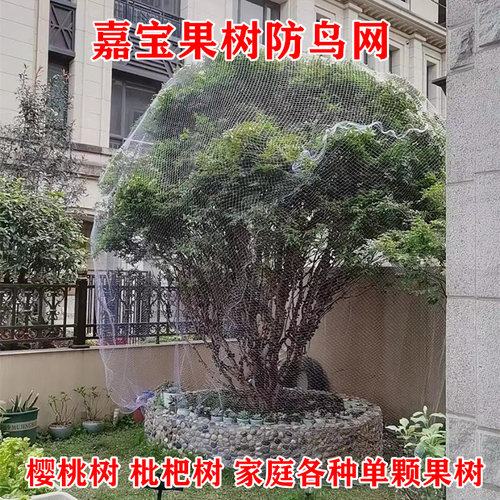嘉宝果树防鸟网樱桃树葡萄防鸟用