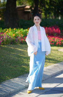 【闭店清仓 咨询八折】风又起●子沫记汉服宋飞机袖衫两片裙日常