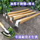 园艺种花种菜除草挖土不锈钢两用小锄头木柄铲子家用农具工具 包邮