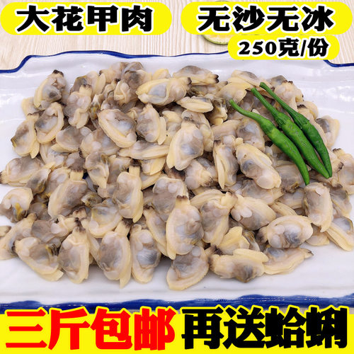 花甲肉鲜活冷冻贝类花甲肉