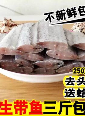 海鲜水产 鲜活带鱼新鲜大带鱼段刀鱼白带鱼中段 冷冻野生海鱼鱼段