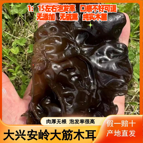 产地直发大朵黑木耳肉厚