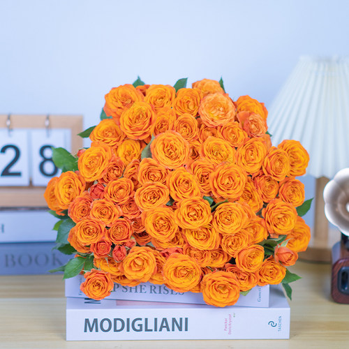 多头泡泡玫瑰橙芭比30/20/10枝