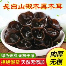 东北特产干货野生黑木耳500g长白山椴木秋木耳肉厚无根小碗耳新货