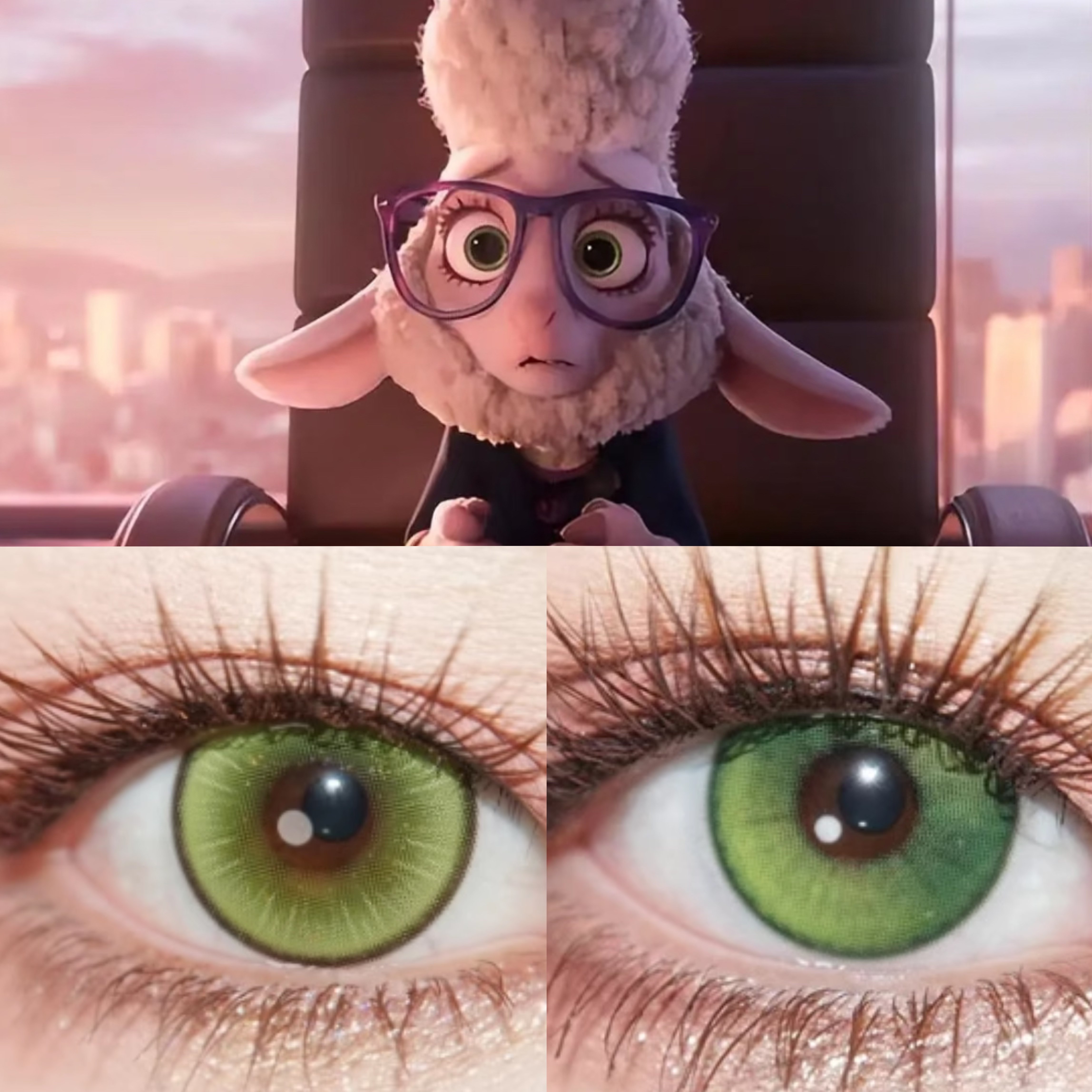 羊副市长cos美瞳黄绿色日抛疯狂动物城2萤火嫩绿抹茶小雏菊显贺WE