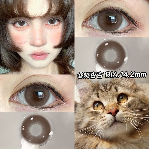 买一副送一副棕色美瞳半年抛硅大小直径14.25水凝胶蓝隐形眼镜mz1
