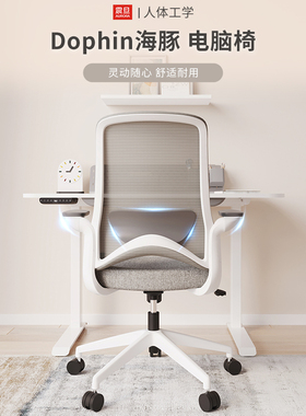 震旦AURORA办公椅CELT易安装中学生学习写字坐椅书房桌升降座椅子