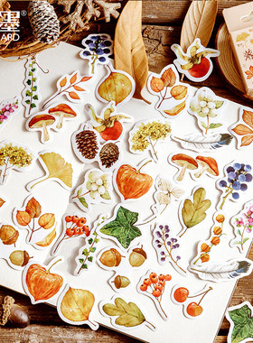 秋天落叶素材盒装贴纸幼儿园成长手册宝宝档案相册手抄报装饰材料