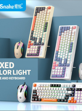 Wired Keyboard and Gaming Mouse Office有线游戏电竞键盘鼠标