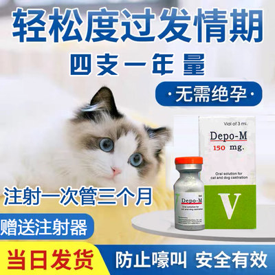 猫咪新款公母通用抑狗情欲猫成猫