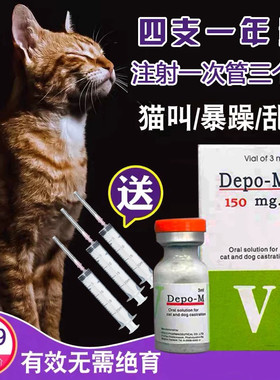 猫咪新款公母通用抑狗情欲猫成猫
