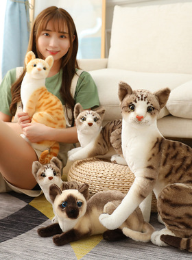 仿真猫咪公仔家居摆件景区动物园礼品仿真猫毛绒玩具儿童早教礼物