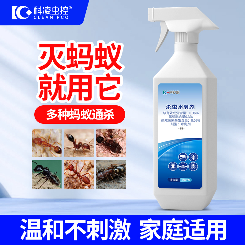 家用灭红黑蚂蚁全窝室内外杀虫剂