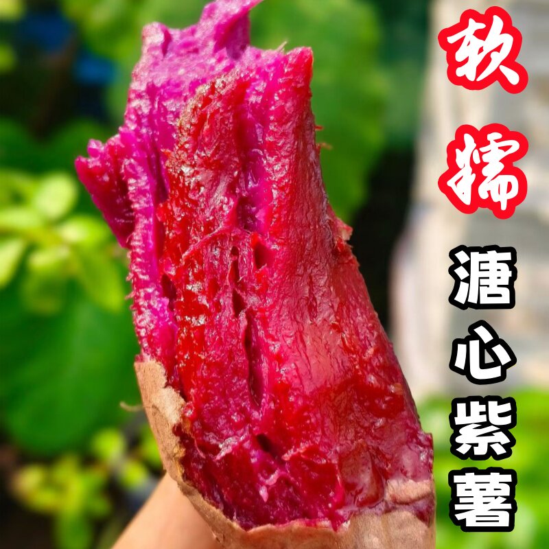 番薯紫薯农家山东粉糯好吃