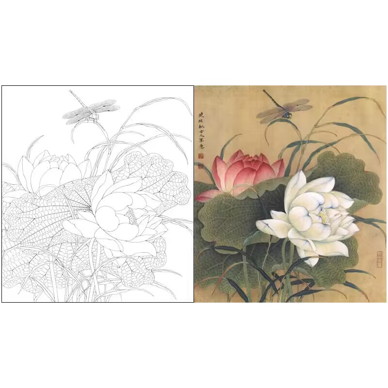有步骤有说明】高清李晓明工笔画白描底稿《临余稚荷花蜻蜓》720l
