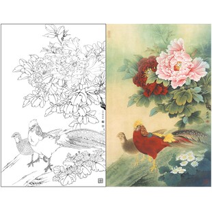 有步骤有说明工笔画白描底稿二乔牡丹锦鸡图初学临摹宣纸过稿239L